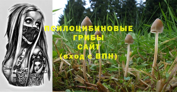 2c-b Балабаново
